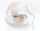 Calming Bird Ornament Hanging