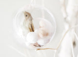 Calming Bird Ornament Hanging