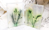 Artistry Plants Aroma Soap