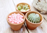 Garden Clay Pots