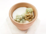 Garden Clay Pots