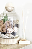 Home/Space Glass Diffuser & Reeds